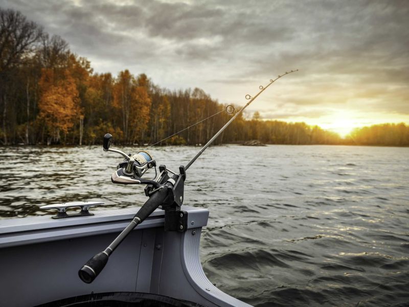 Phishing-Angriffe mit Gophish